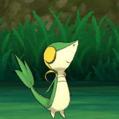 here have a cute snivy