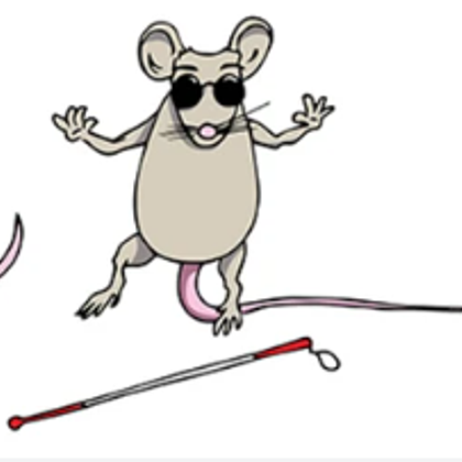 blind mouse 2#