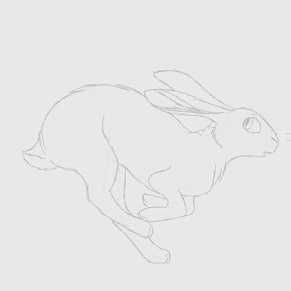 rabbit sketch 1