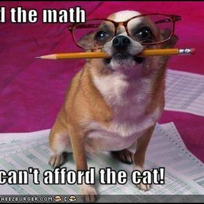 Let dogs do the Math!