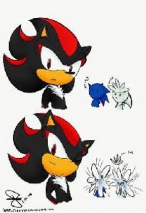 Silver and Sonic: Shadow smiled! *minds officially blown*