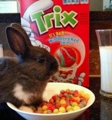 Silly Rabbit! Trix Are for Kids!