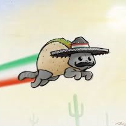 My entry. TACOCAT!!!