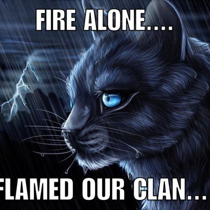 Feelz bad Bluestar..