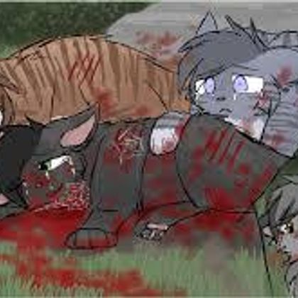 Hollyleaf who died protecting Ivypool from Hawkfrost