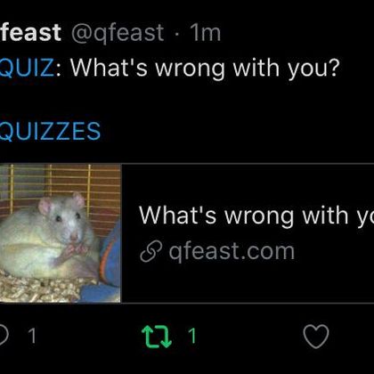 hey um qfeast