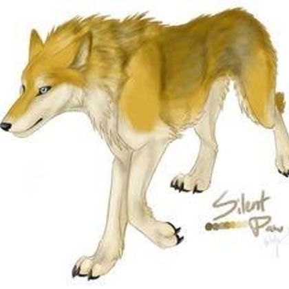 Rydian,wolf form