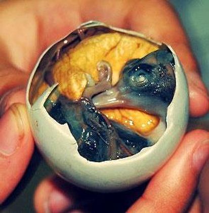 Never eat Balut... (It's a duck embryo, in case you wanted to know....)