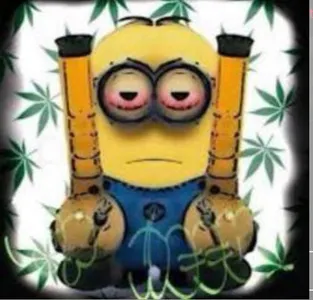 High society fandom High society fandom