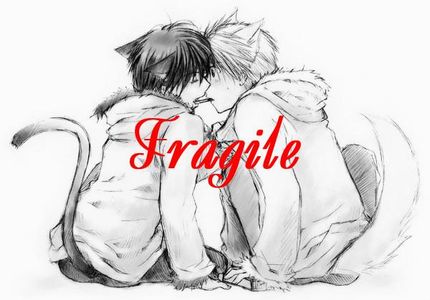 Fragile: The Online Book