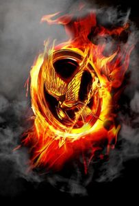 Hunger Games RP!!!