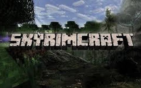 Which game do you like more: Skyrim or Minecraft?