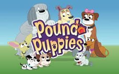 Which Pound Puppy Are You