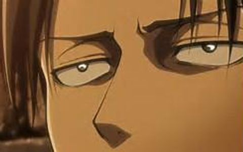 What does Levi think of you?