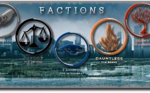 What faction are you from divergent