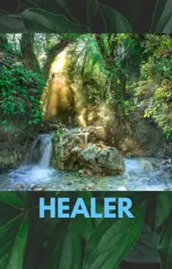 Healer Healer