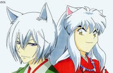 Demons and Yokai (A Inuyasha and Kamisama Kiss Crossover)