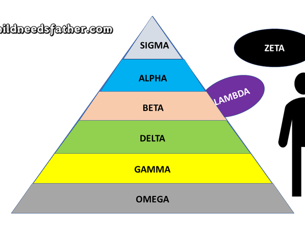 what type of male are you?