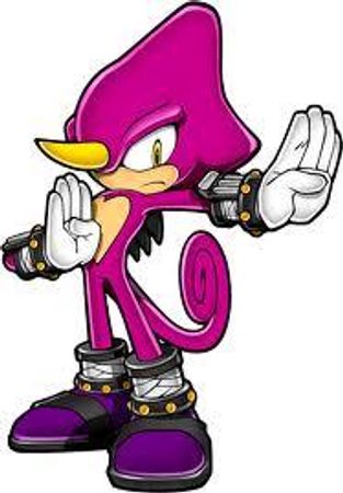 "but I...what?" you say and the white one chuckles "I guess we should intrduce ourselfs, i'm silver" he says pointing to himself "And thats Sonic, Shadow, Manic, Tails, Knuckles and Espio" he says while pointing to each in turn.