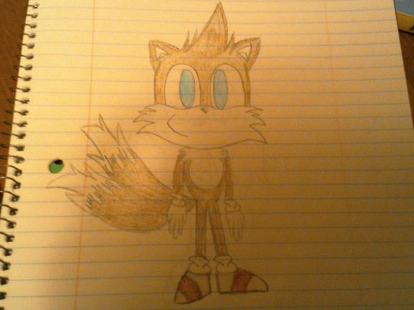 You try to see over Tails, and when he sees you doing this, he steps to the side. When he does, in his place you see a little 8 year old brown fox with a Mohawk, two frizzed out tails, and shoes like Sonic's except with a red stripe. "Aww he's adorable! Who is he?" you ask.