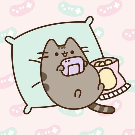 Do you like pusheen?