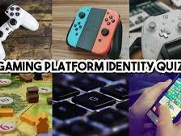 What gaming platform do you prefer?