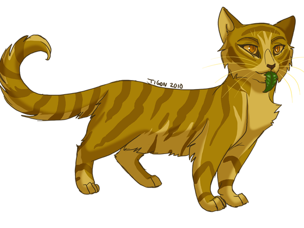 What was the sign that Starclan sent to Mudfur, signifying that Mothwing was the right cat to be Medicine Cat for Starclan?