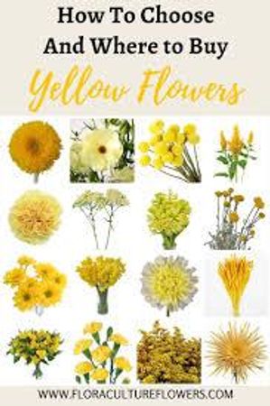 Choose a yellow flower: