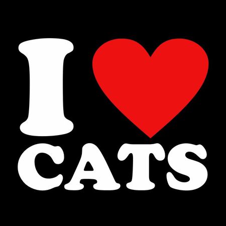 do you like cats