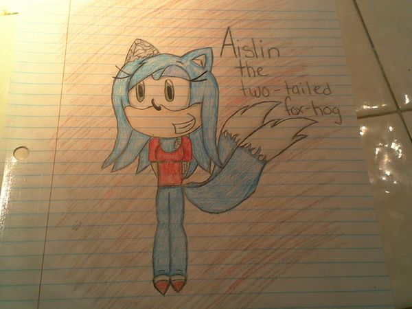 "H-hello?" you ask. The crying stops. "W-w-who's there?" you ask. "Show yourself!" you demand, still nervous. The person steps out of the dark, its a blue hedgehog/fox with two white-tipped tails and one mechanical ear and another mechanical arm. She was wearing a red shirt, blue pants, shoes like Tail's except with red on the tip and black biker gloves. You see clearly she's been crying.