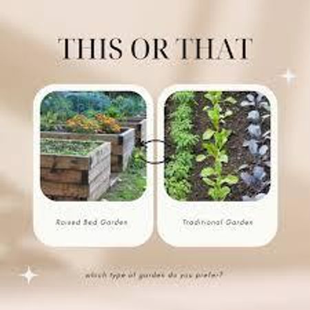 What type of garden do you prefer?