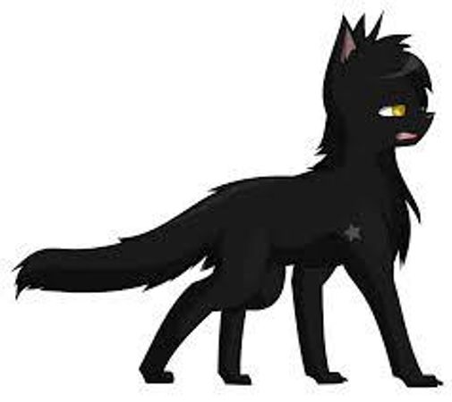 The cat on the other side of Nightshade was all gray, and she said "Yes, we do. What shall we do, Nightshade?" "Well, Grayclaw," Nightshade began. "We may have to...kill the intruder. But before that, what Clan are you from?" Nightshade asked you. And you replied