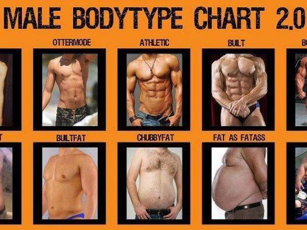 Which Body type do you like better?