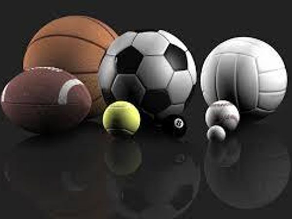 What is your favourite sport out of these?