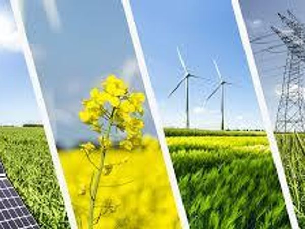 what do you think about renewable energy?