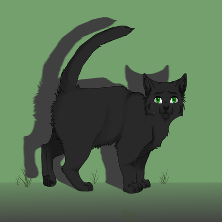 Finally, are you a big fan of Hollyleaf?