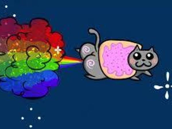 How do you feel about Nyan Cat?