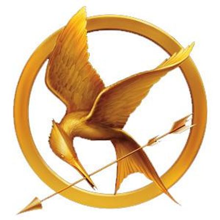 Did you like the questions that I asked about the hunger games?