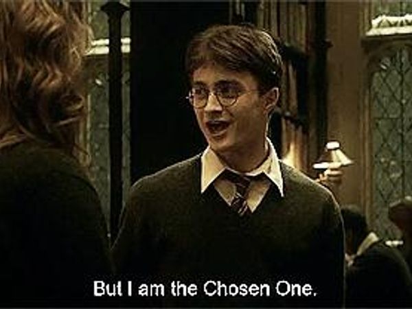 Who did you go to the Yule Ball with?