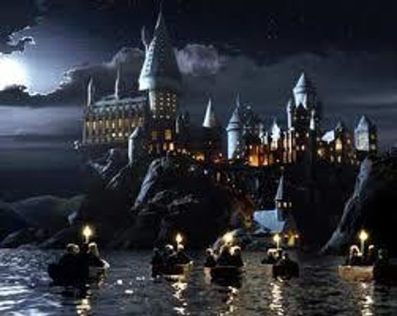 After you have enjoyed your first year at Hogwarts would you want to go home and just live at Hogwarts throughout your holidays,which one of the following four options would best describe you?