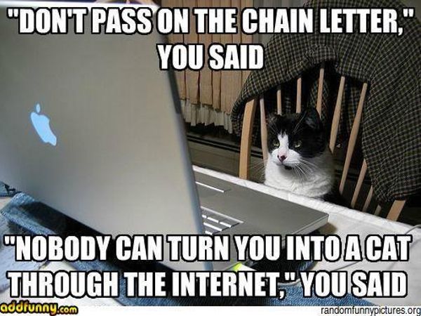 Chain Letter!