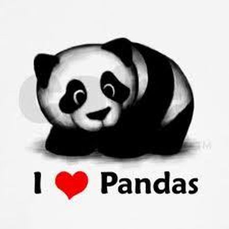 How much do you think I like pandas?