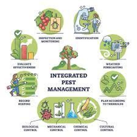 How do you approach pest control?