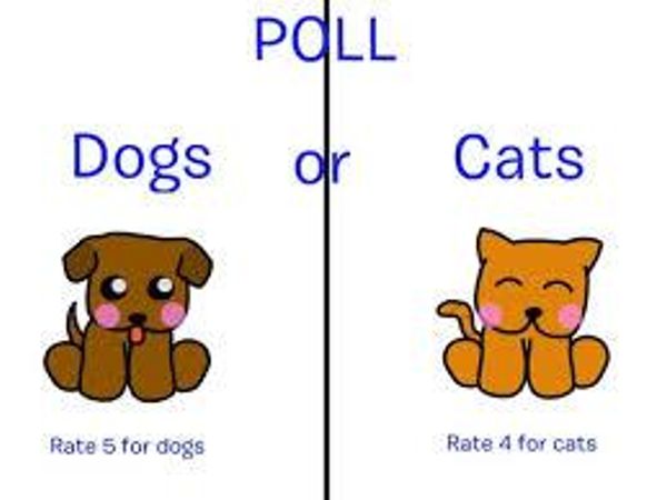 Dogs Or Cats?