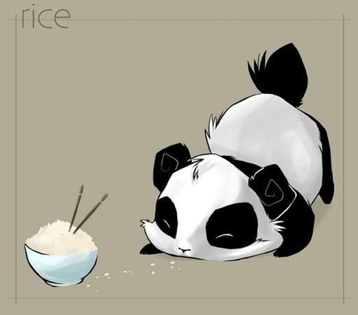 How much do you like pandas?