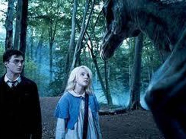 If you had a chance to see any of the magical creatures throughout the entire Harry Potter series which would be the least likely you would want to see?