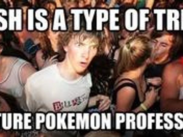 *returns all of the pokemon execpt Absol*(why just Absol? Because I can and I will) Celest: Ash is a type of tree ya know?(May: and?(Celest: Doesn't that mean that Ash'll become a Pokemon Professer?