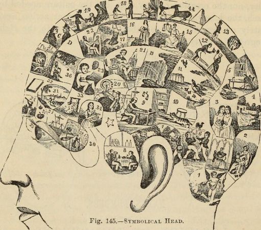 What is your general temperament?