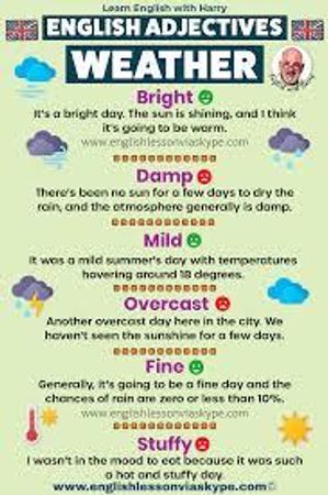 Which weather describes you best?