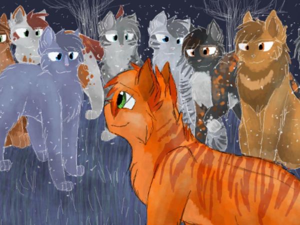 The leader dies. You must recieve your nine lives. Go to StarClan.